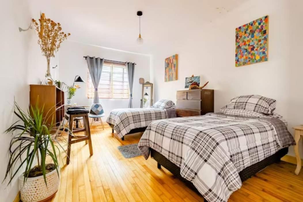 Indigo Guest House Mexico City Luaran gambar